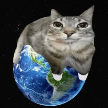 Cat taking over Earth
